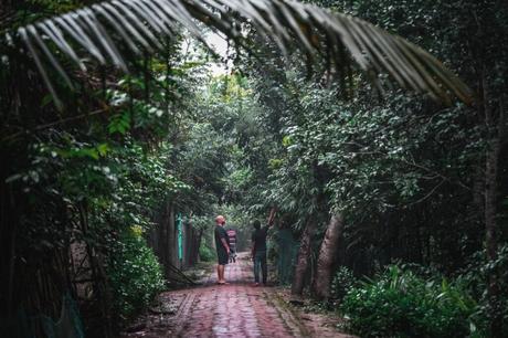 Sundarbans – der größte Mangroven Dschungel der Welt