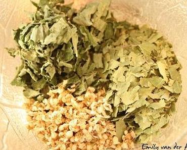 Meine Art: Henna-Kur-Gematsche