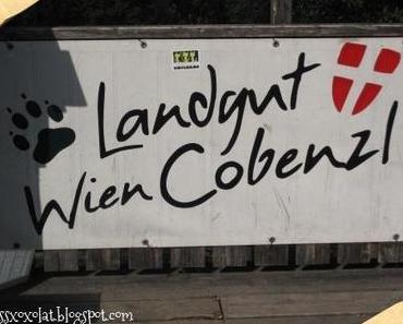 Ausflug zum Landgut Wien Cobenzl