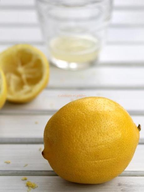 Zitronen – Basilikum – Sorbet
