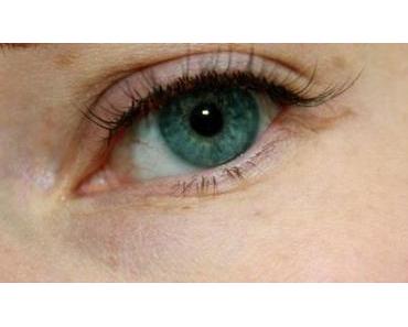 bambi-wimpern