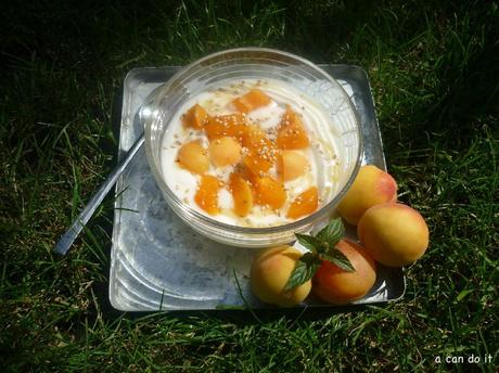 Yoghurt With Honey And Apricots
