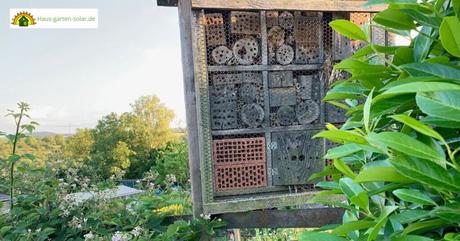 Bienenfreundlicher Garten: Tipps für eine bienenfreundliche Umgebung