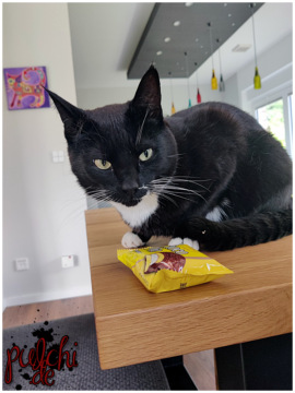 #1535 [Session-Life] „Picture my Day“ Day #2024 ~ Mai