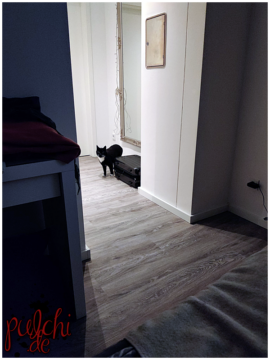 #1535 [Session-Life] „Picture my Day“ Day #2024 ~ Mai