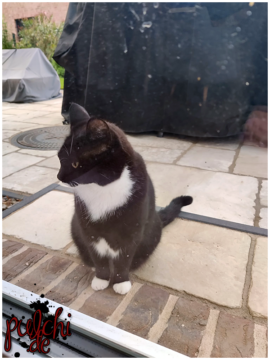 #1535 [Session-Life] „Picture my Day“ Day #2024 ~ Mai