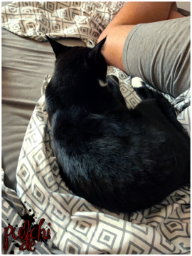 #1535 [Session-Life] „Picture my Day“ Day #2024 ~ Mai