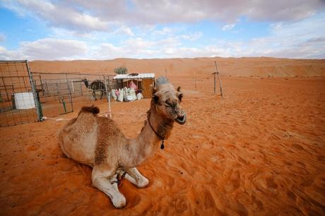 Abenteuer in der Umm Adailan Wüste