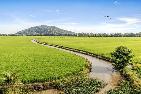 Markttreiben auf dem Wasser: Kultur und Kommerz im Mekong-Delta