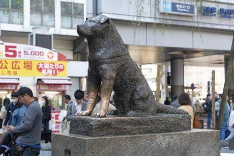 Sehenswürdigkeiten in Tokio: Highlights im Überblick