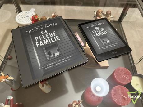 [Test] Kindle Scribe