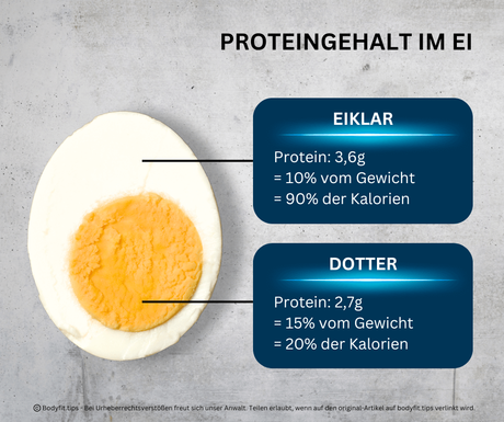 Proteingehalt im Ei Grafik