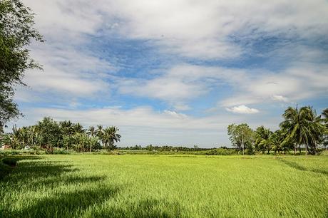 Das Mekong-Delta – Entdeckungsreise durch Vietnams grünes Herz