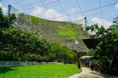 Vogel Zoo in Malaysia