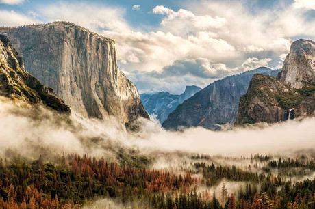 Nebel hält sich in der Ebene vor einer Felssteilwand in einem Nationalpark der USA