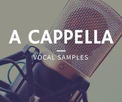 5 Wege mit denen du Vocal-Samples, DJ-Tools und A Cappella Versionen bekommst