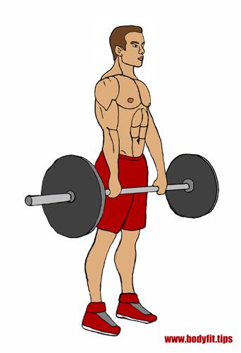 Gestrecktes Kreuzheben - Ausgangsposition