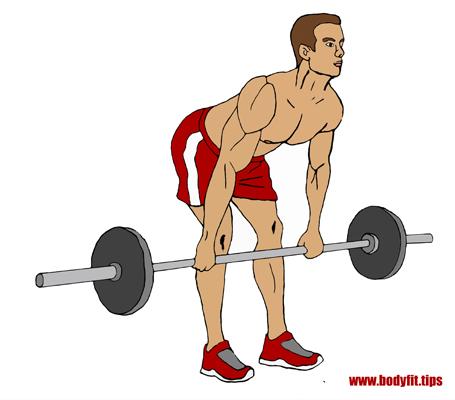 Gestrecktes Kreuzheben - Endposition