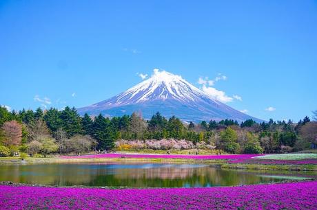Berg Fujiyama in Japan besuchen – Reisetipps & Touren