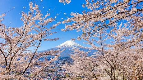 Berg Fujiyama in Japan besuchen – Reisetipps & Touren
