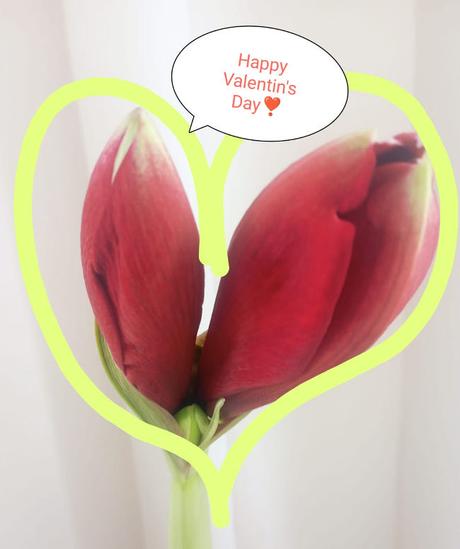 💕 Bonne Saint-Valentin 💕