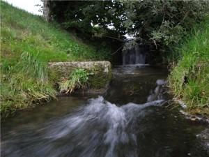 Fluss des Lebens