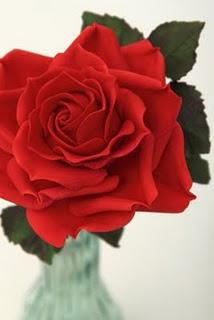 Eine einzelne rote Rose...
