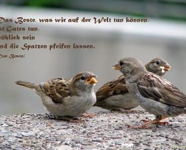 wallpaper-1689754