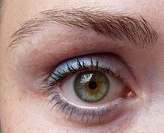 Review: Max Factor - Smoky Eye Effect Eyeshadow