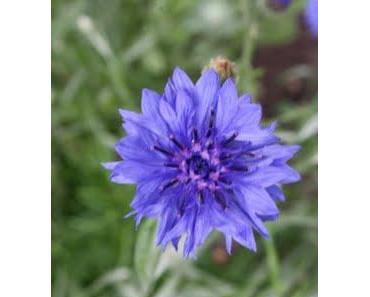 Was die Liebe vermag