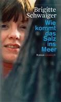 Rezension: Wie kommt das Salz ins Meer von Brigitte Schwaiger