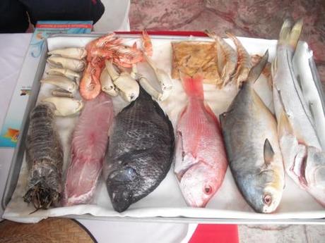 Mexiko Tagebuch Teil II: Meeresfrüchte in Veracruz