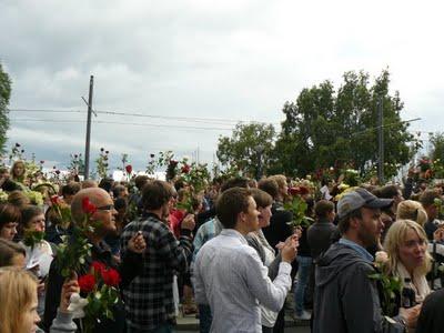 Blumen gegen Gewalt Terrorismus; Fotos aus Oslo