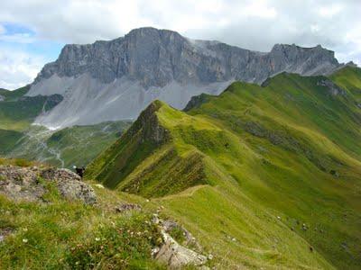 Alpengeografie mit Widmer