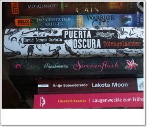 Tolles bei mir gelandet #11