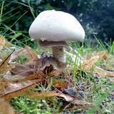 Das also soll Sommer sein?