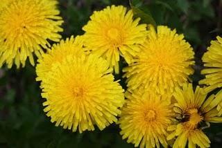 Gehe in rechter Weise mit Deinen Fähigkeiten und Talenten um!