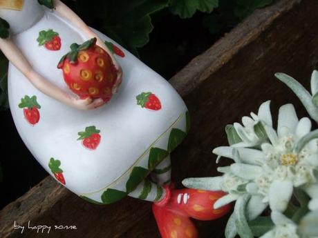 Erdbeeri-Zyt und Bettmümpfeli!