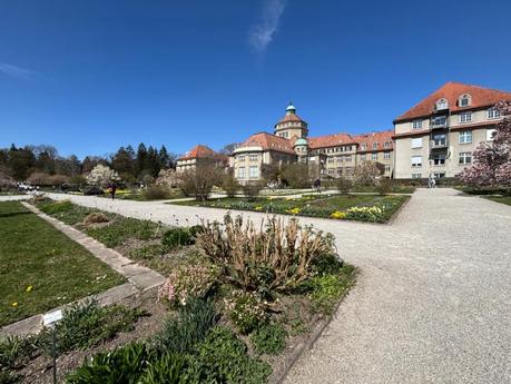 Botanischer Garten München besucht – Naturparadies in Nymphenburg
