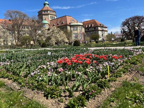 Botanischer Garten München besucht – Naturparadies in Nymphenburg