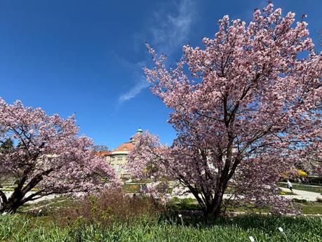Botanischer Garten München besucht – Naturparadies in Nymphenburg