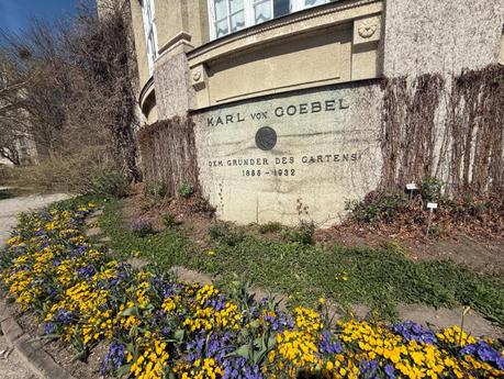 Botanischer Garten München besucht – Naturparadies in Nymphenburg