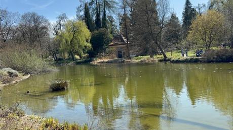 Botanischer Garten München besucht – Naturparadies in Nymphenburg