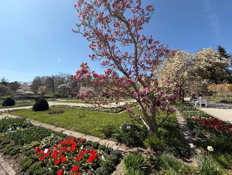 Botanischer Garten München – Ein grünes Paradies im Herzen von Nymphenburg
