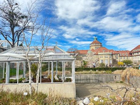 Botanischer Garten München – Ein grünes Paradies im Herzen von Nymphenburg