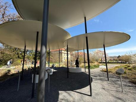 Botanischer Garten München – Ein grünes Paradies im Herzen von Nymphenburg