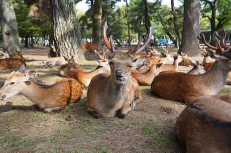 Warschau Insider-Guide