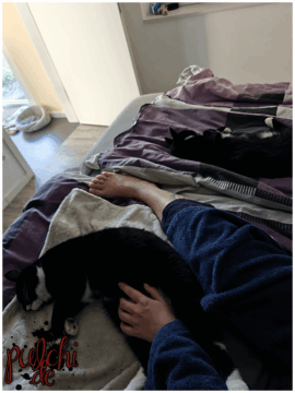 [Session-Life] „Picture my Day“ Day #2025 ~ April