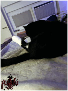 [Session-Life] „Picture my Day“ Day #2025 ~ April