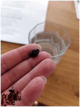 [Session-Life] „Picture my Day“ Day #2025 ~ April